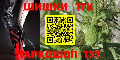твердый Камышлов